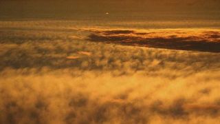 Верхние слои атмосферы Венеры признали непригодными для земных экстремофилов